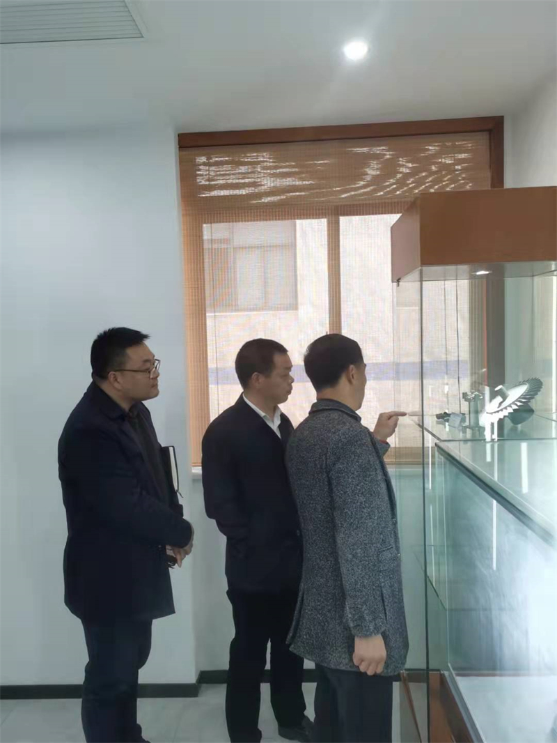 區(qū)領導來公司展廳參觀考查.jpg